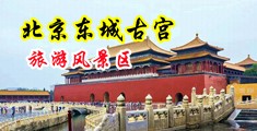 男人操女人内射视频中国北京-东城古宫旅游风景区